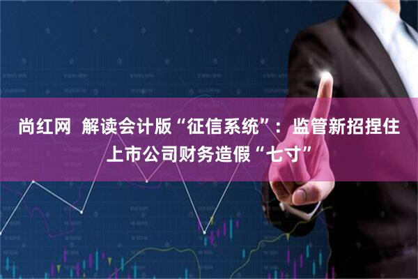 尚红网  解读会计版“征信系统”：监管新招捏住上市公司财务造假“七寸”