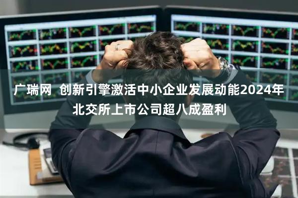 广瑞网  创新引擎激活中小企业发展动能2024年北交所上市公司超八成盈利