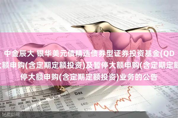 中金辰大 银华美元债精选债券型证券投资基金(QDII)恢复直销机构大额申购(含定期定额投资)及暂停大额申购(含定期定额投资)业务的公告