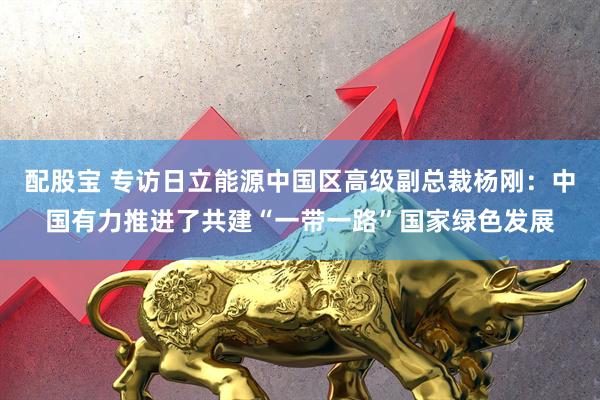 配股宝 专访日立能源中国区高级副总裁杨刚：中国有力推进了共建“一带一路”国家绿色发展