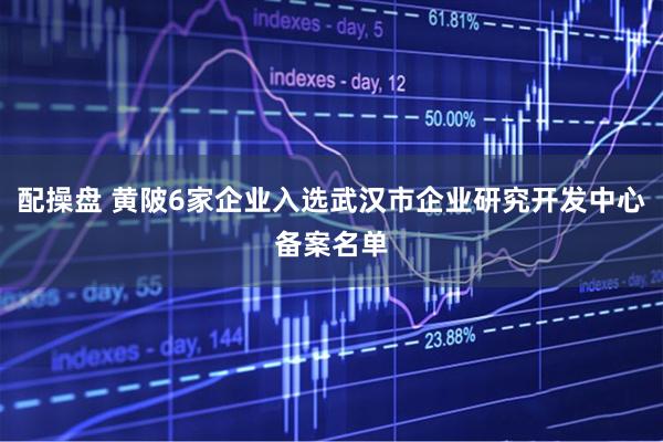 配操盘 黄陂6家企业入选武汉市企业研究开发中心备案名单
