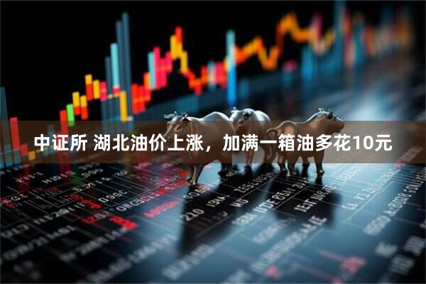 中证所 湖北油价上涨，加满一箱油多花10元