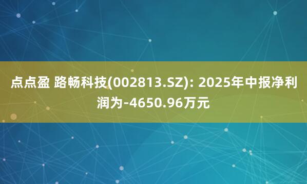 点点盈 路畅科技(002813.SZ): 2025年中报净利润为-4650.96万元