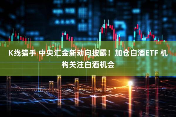 K线猎手 中央汇金新动向披露！加仓白酒ETF 机构关注白酒机会