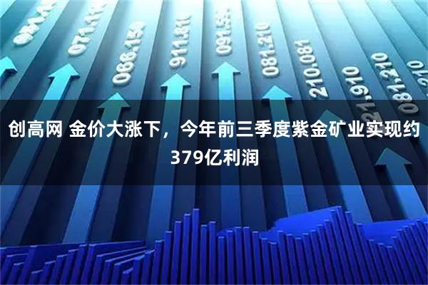 创高网 金价大涨下，今年前三季度紫金矿业实现约379亿利润