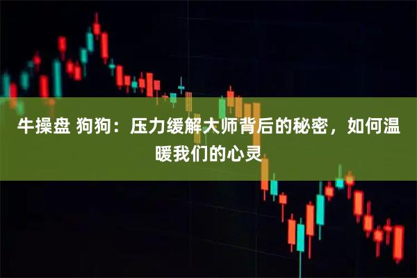 牛操盘 狗狗：压力缓解大师背后的秘密，如何温暖我们的心灵