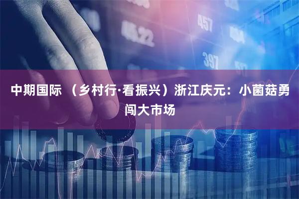 中期国际 （乡村行·看振兴）浙江庆元：小菌菇勇闯大市场